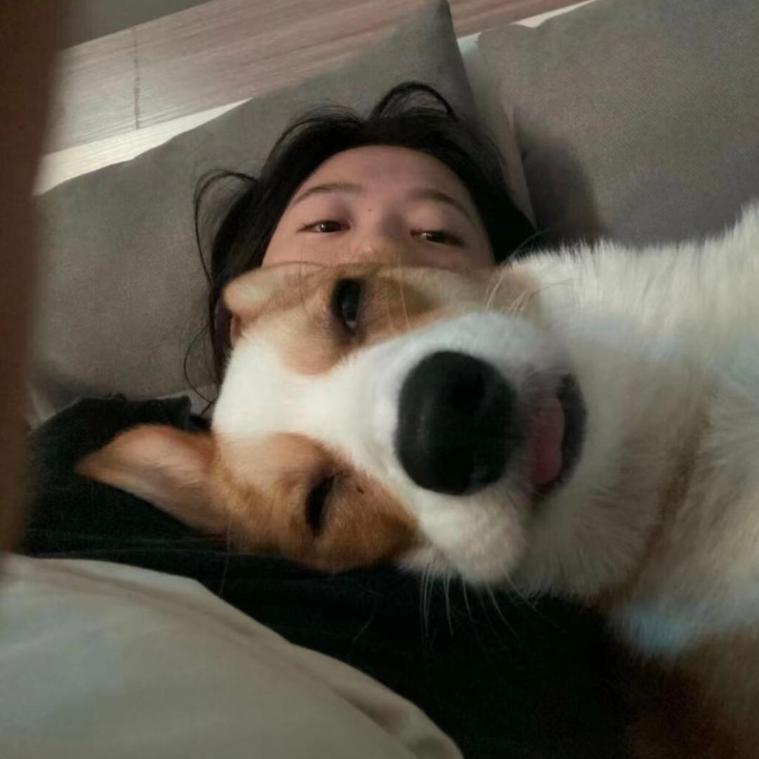刘-