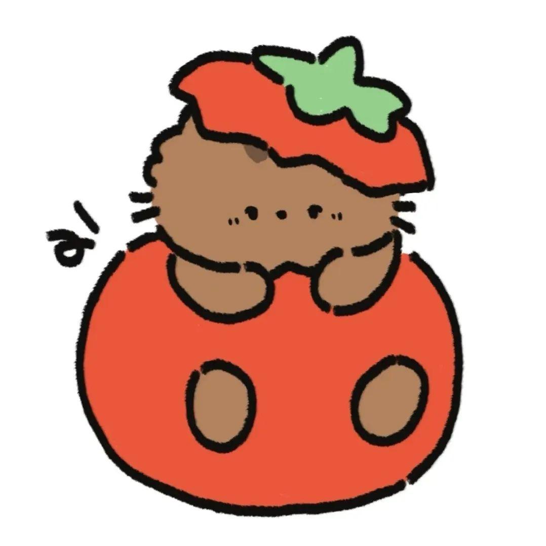 佐伊