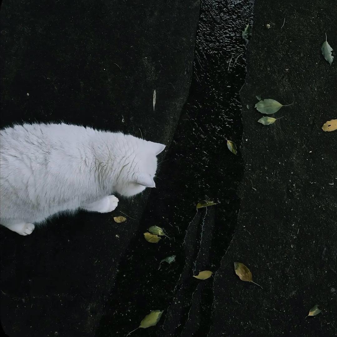 🌧️