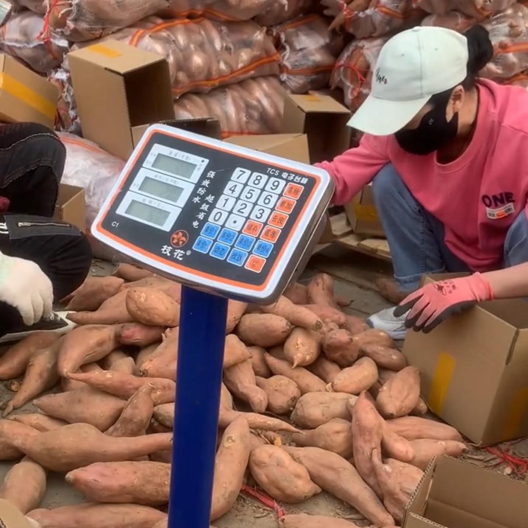 农产品源头产地优选