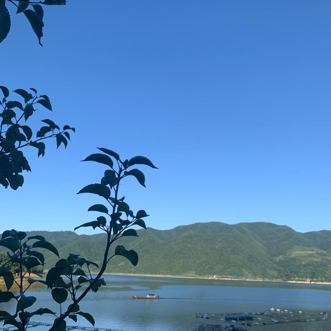 🚬ᥫᦸᐝ一介ღ俗人ζ🍻དྷ༗