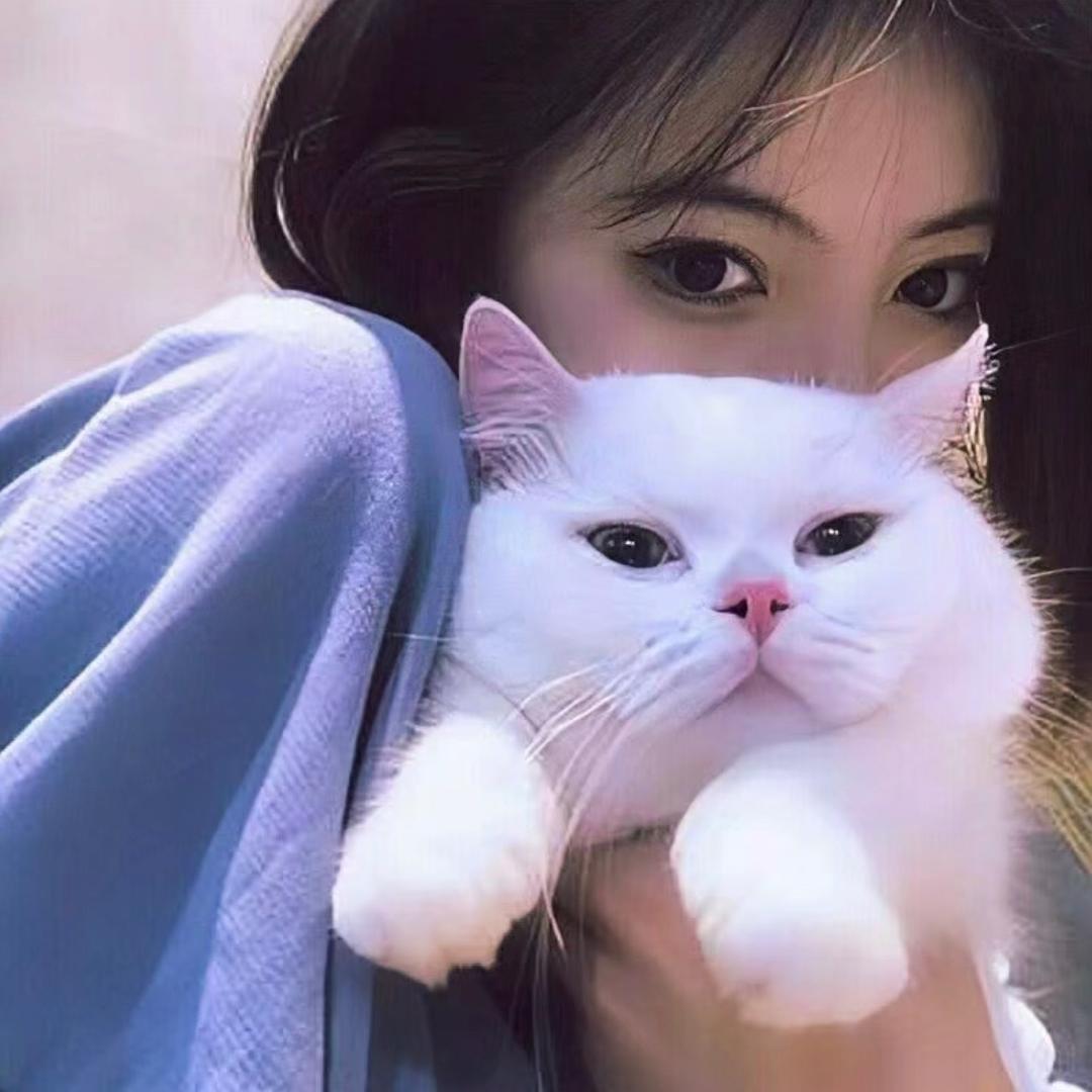 悠悠子(发财版)