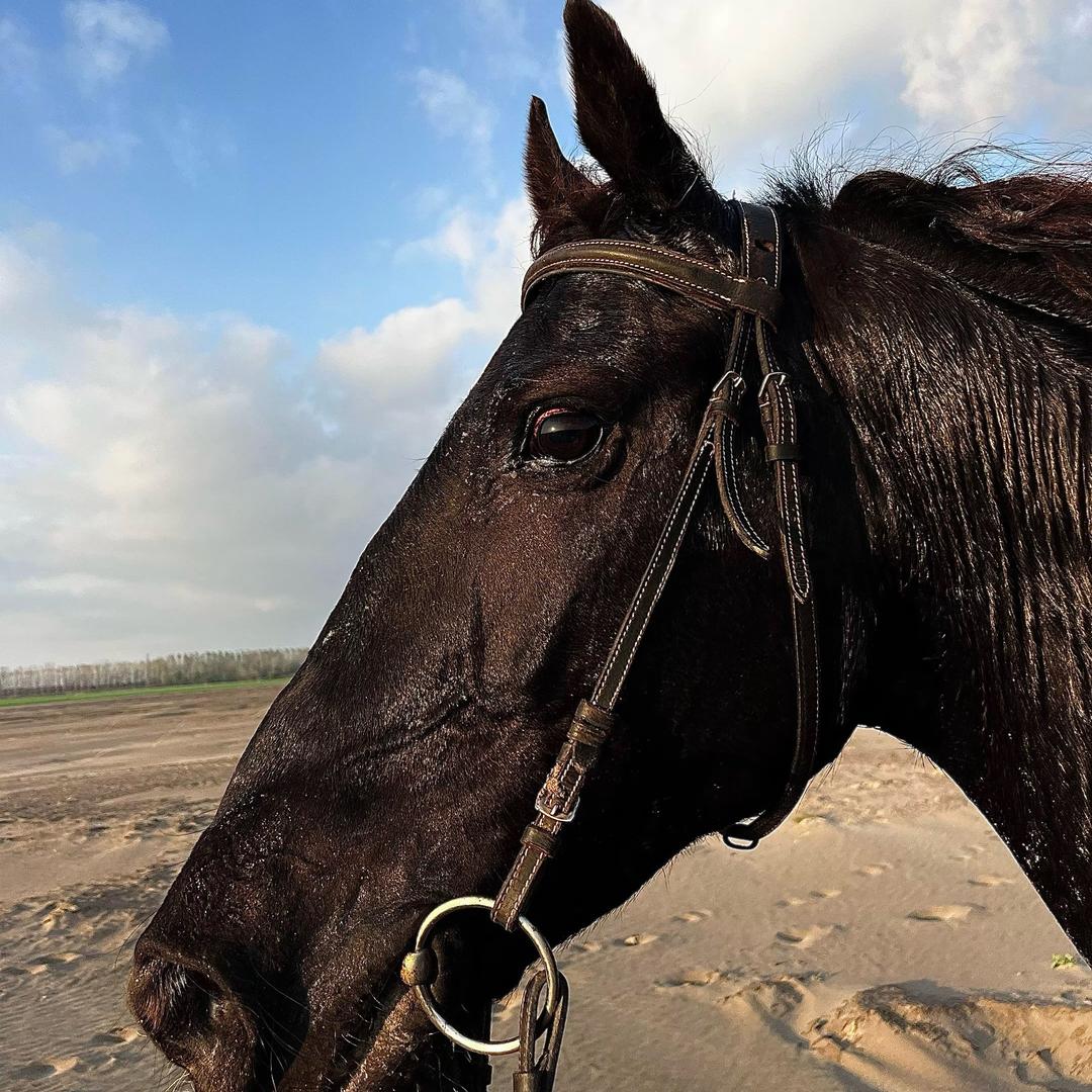 天空牧场 Ak和阿斯
