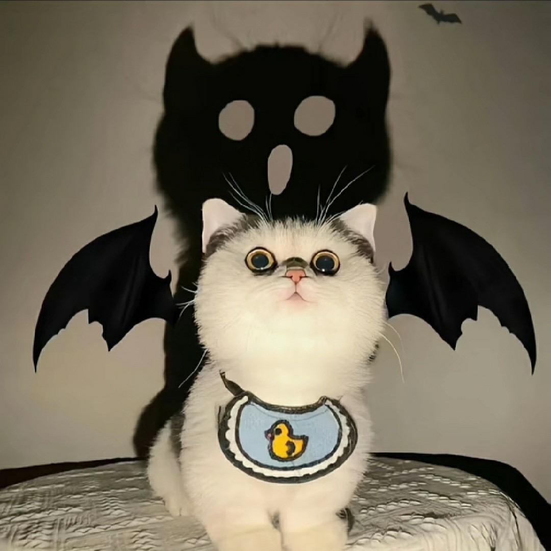 百趣云
