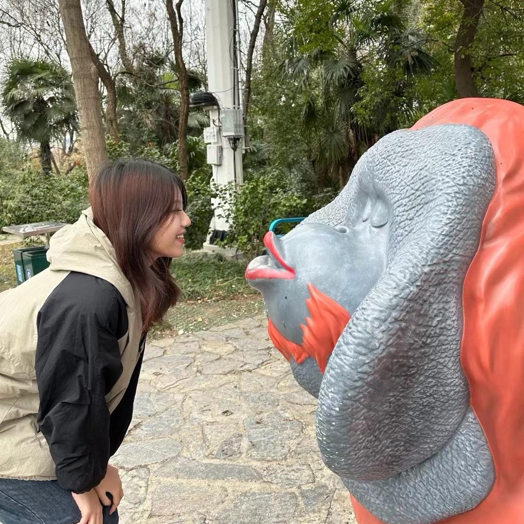 荷映月