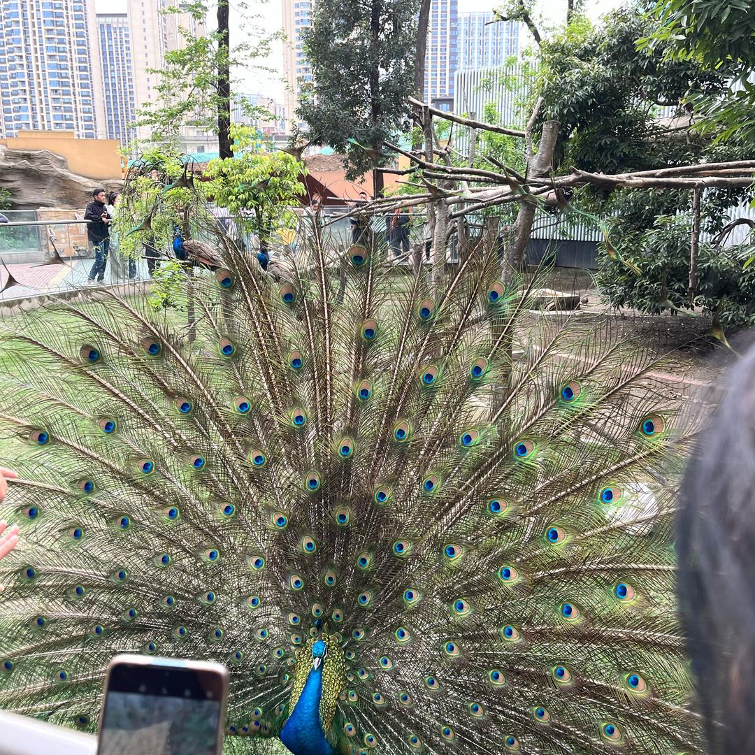 唐小馨