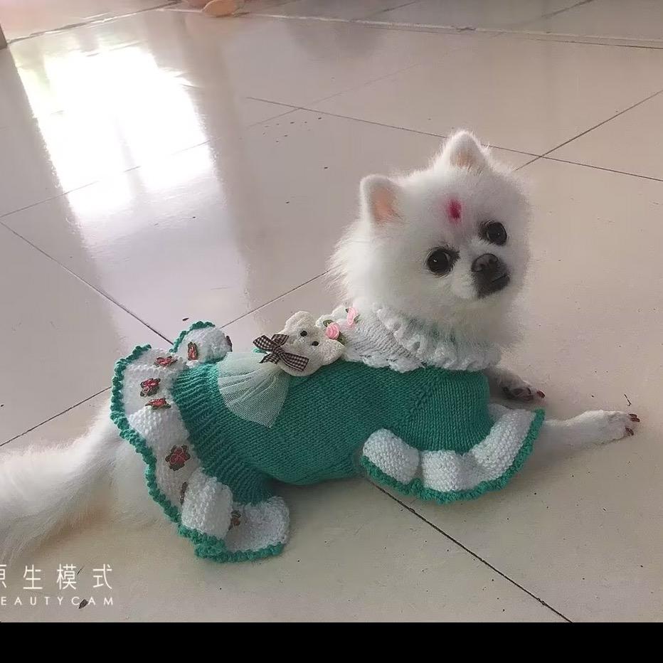 💫毛孩她姥💫