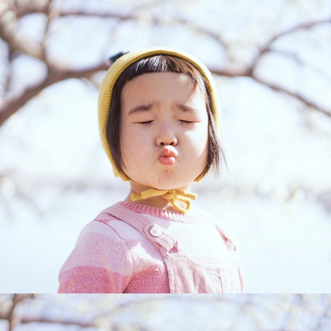小贝大贝🌸