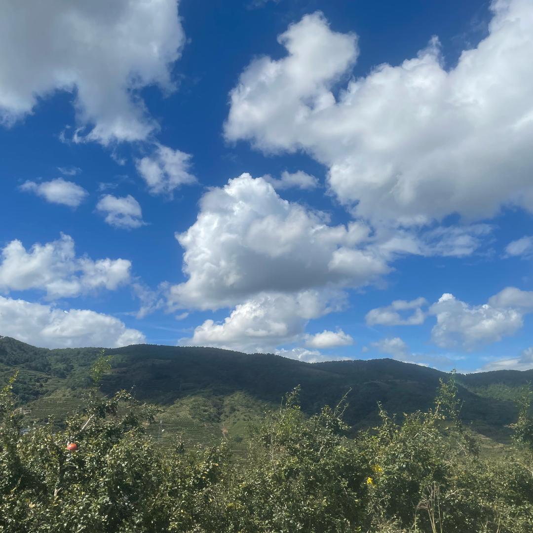 陪我的月亮🌙长大