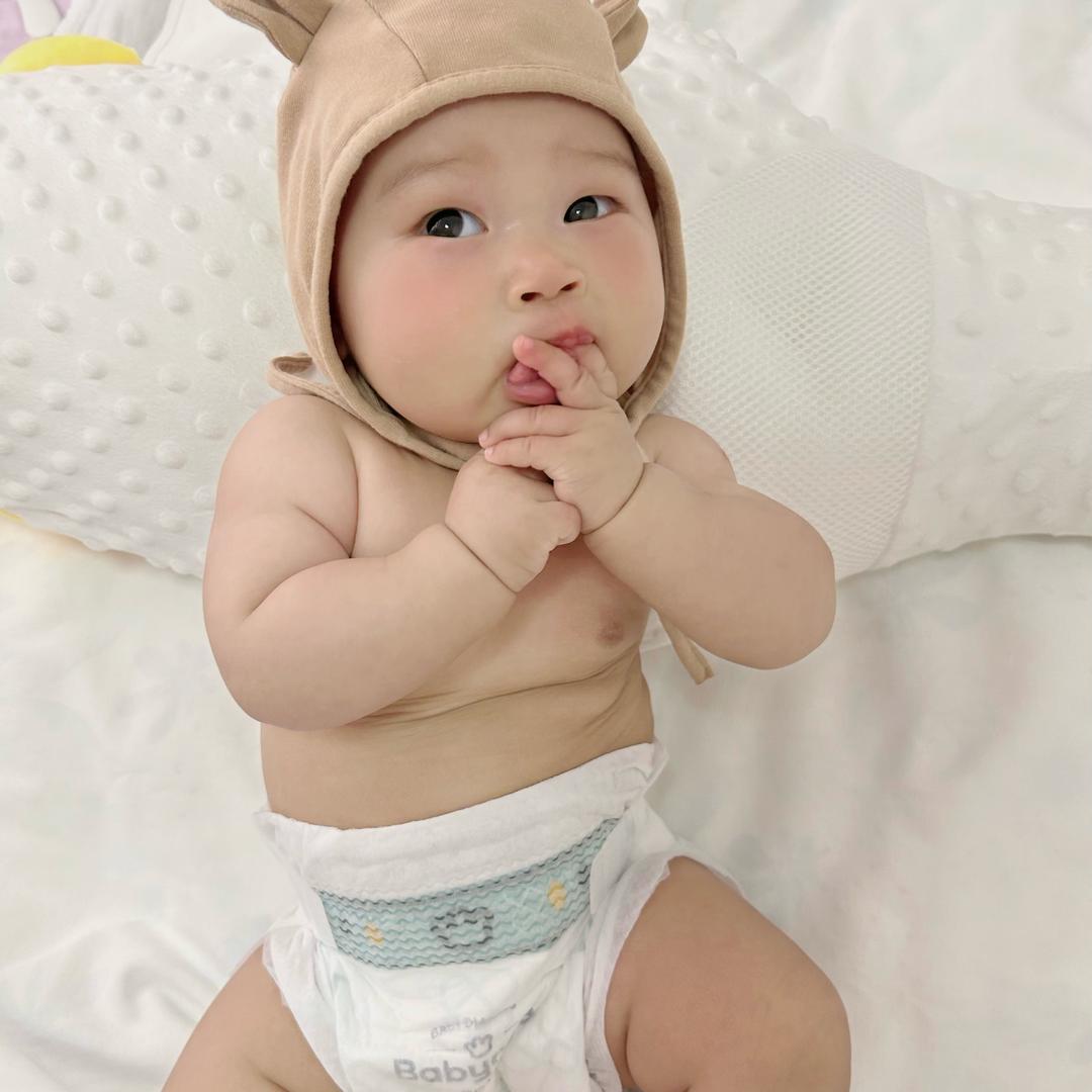 白鸽（贝贝成长记）