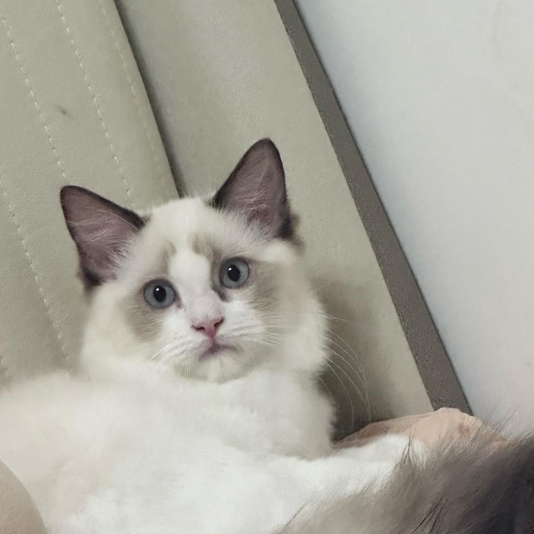 氵