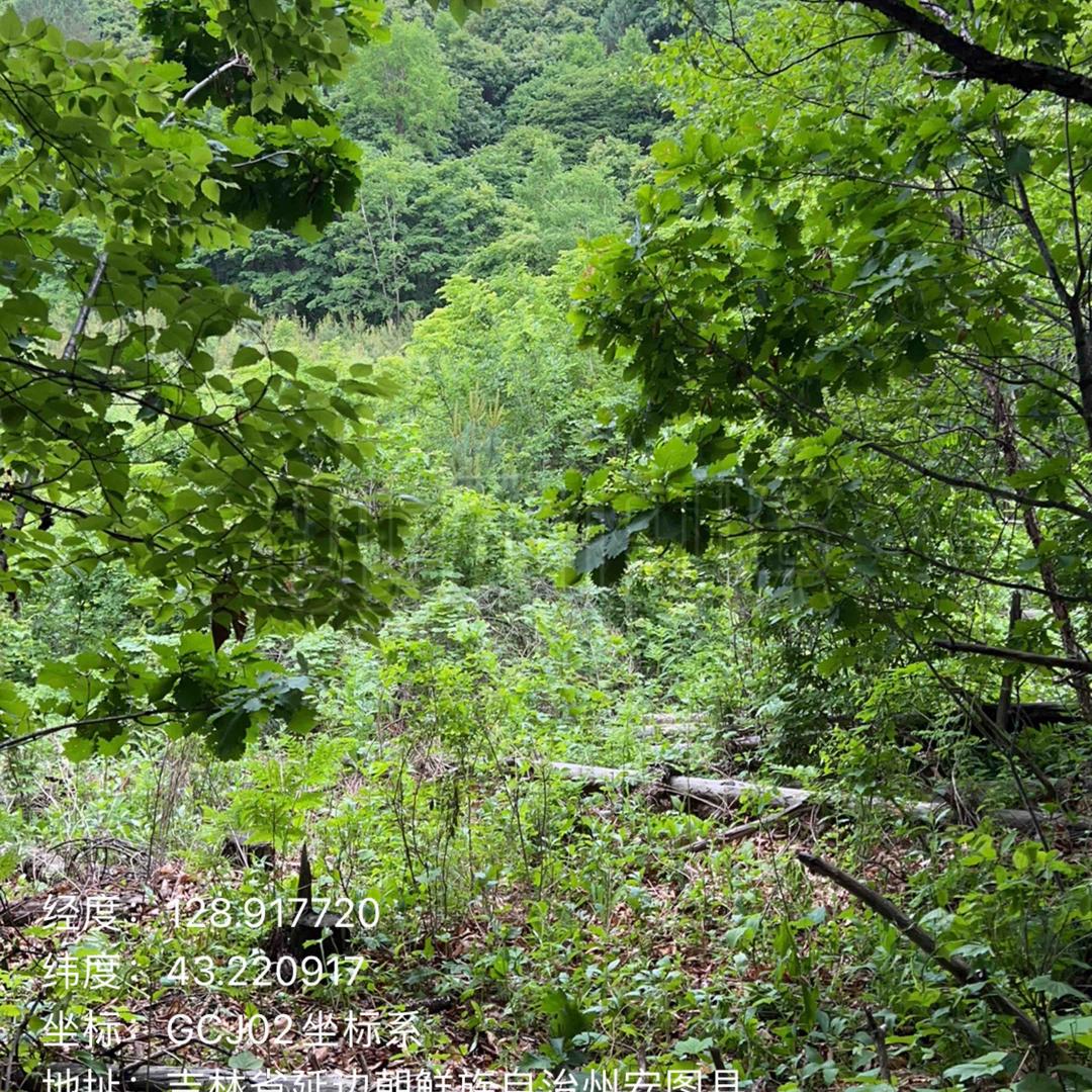 🧑‍🔧小😻城👩‍🌾