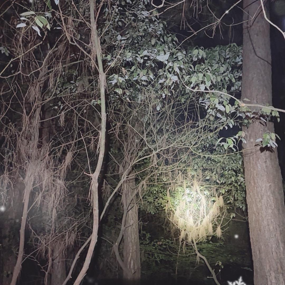 阿娟山货