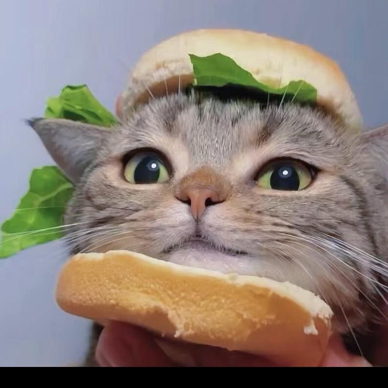 随意和黑塔八页（永劫无间）