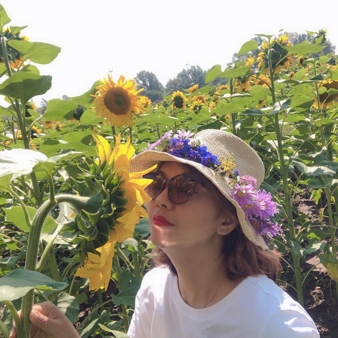 北京马甸 多加收藏