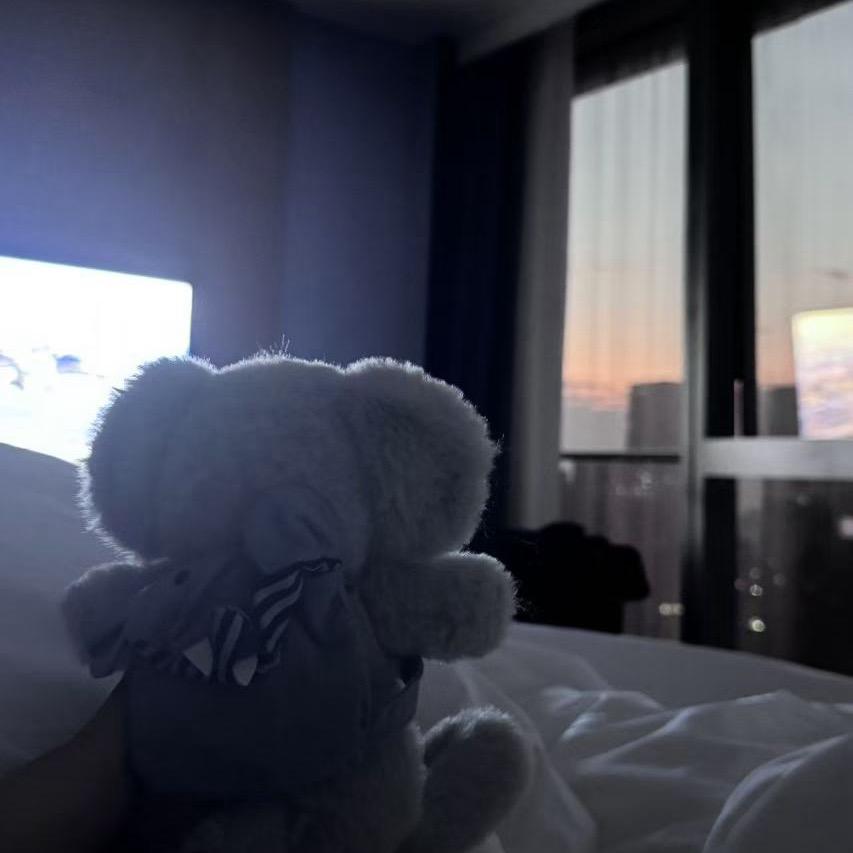 九多一点的主人