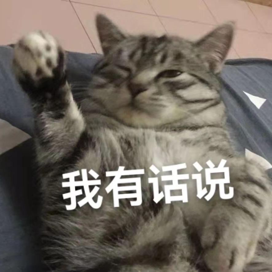 🌈蛋卷不卷
