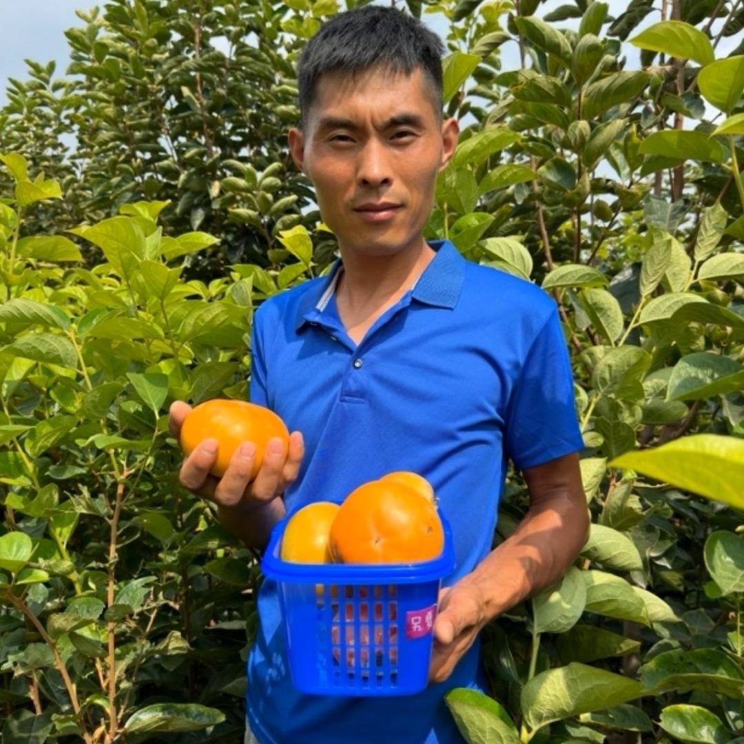 娄永杰