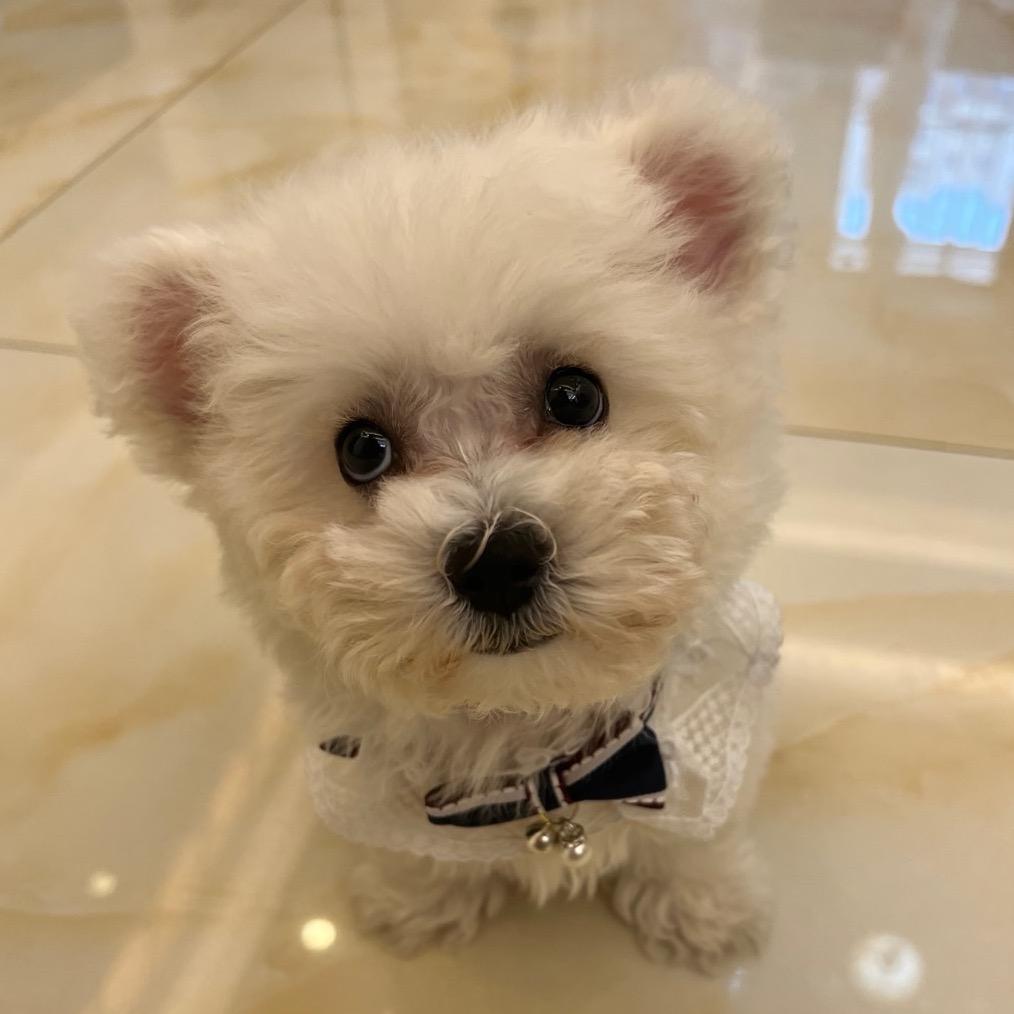 开心是老6️⃣
