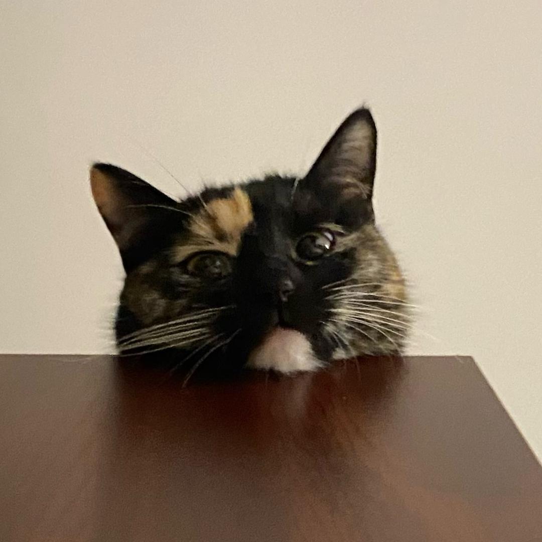 歪？