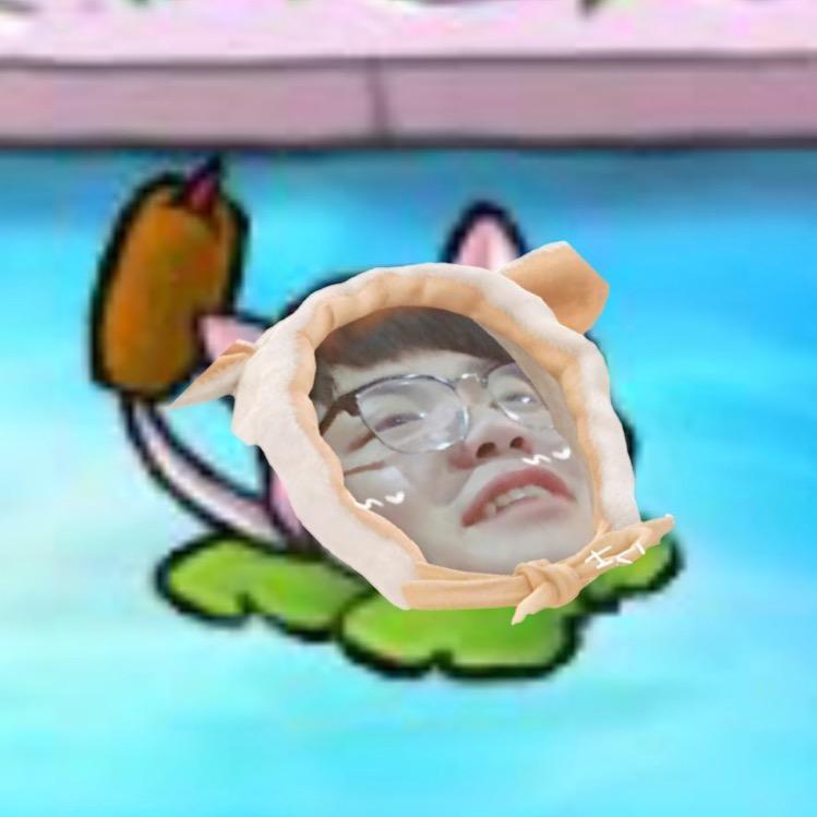 。z
