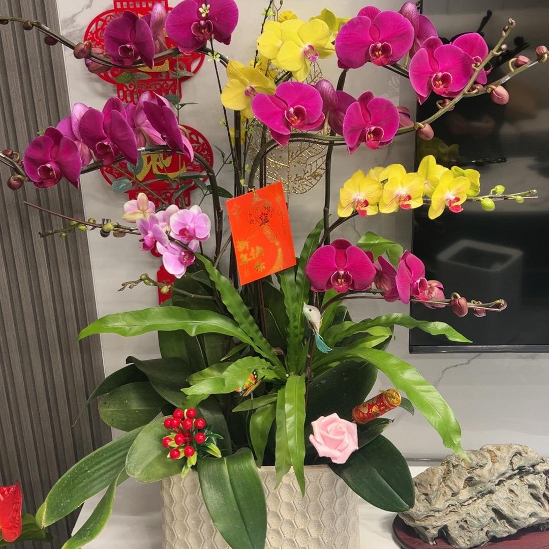 玲子家