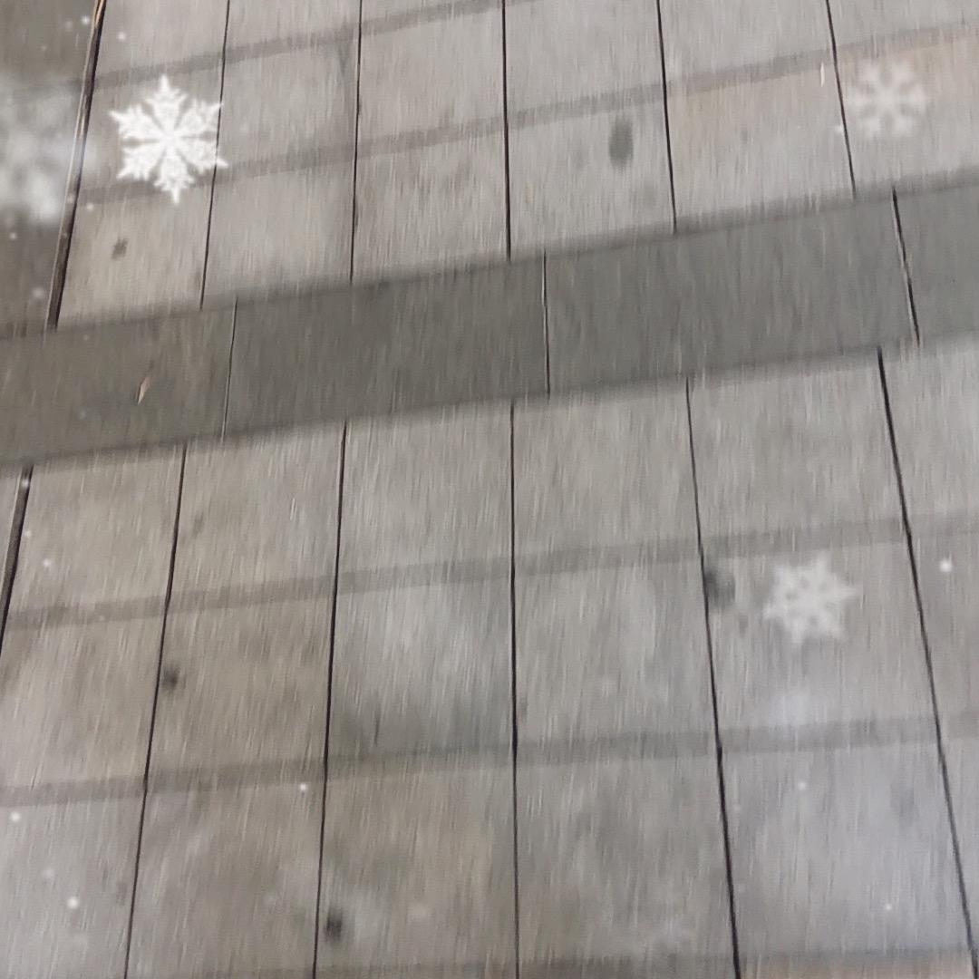 ✪ω✪
