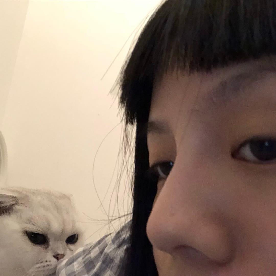 荟子
