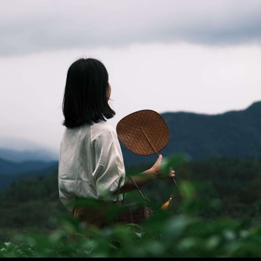 独木不成林女士