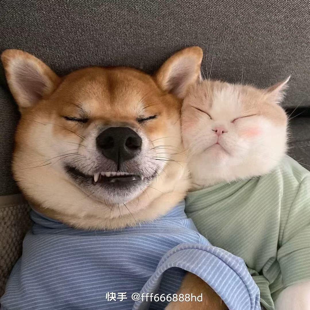 全球招募合伙人，轻资产创业