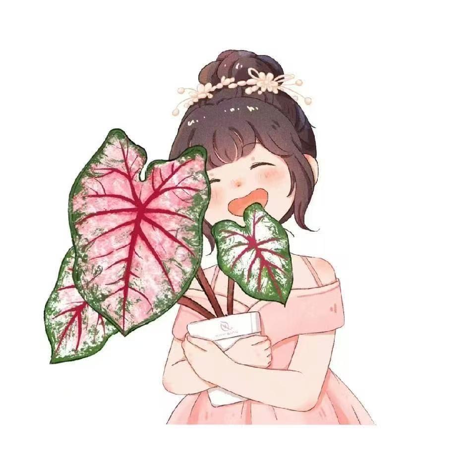 成长花卉