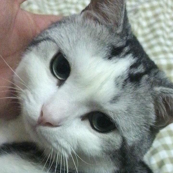 随心