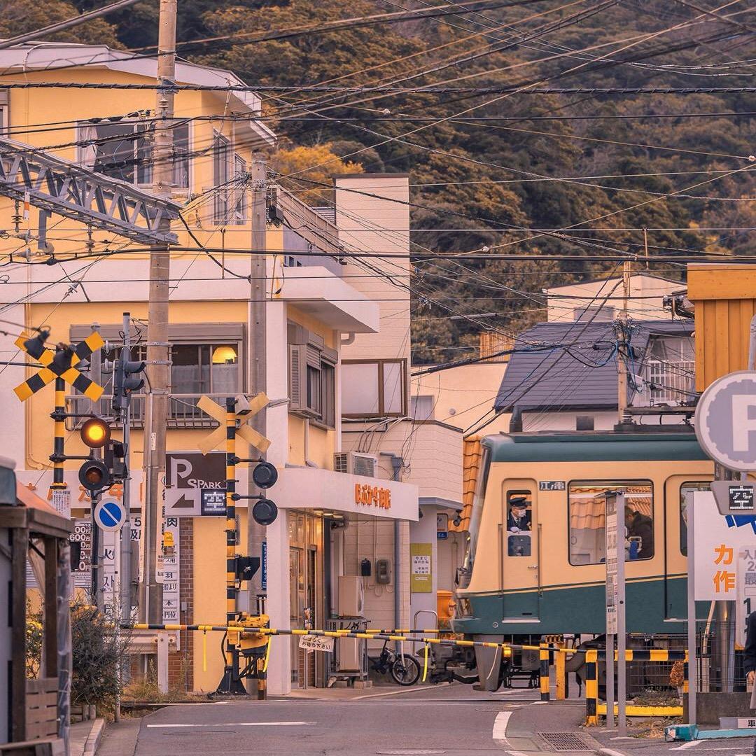 Y&w
