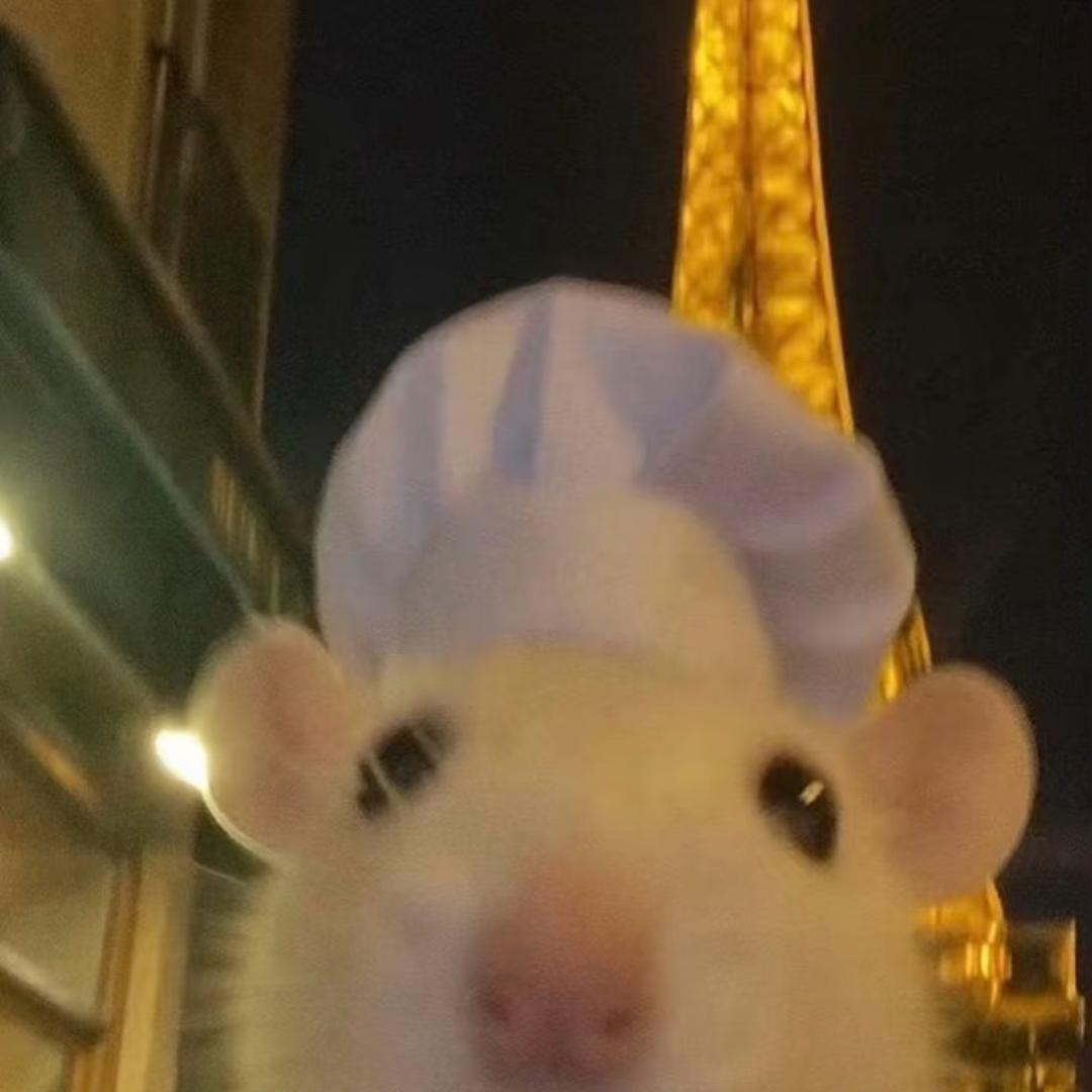 顾老鼠🐭