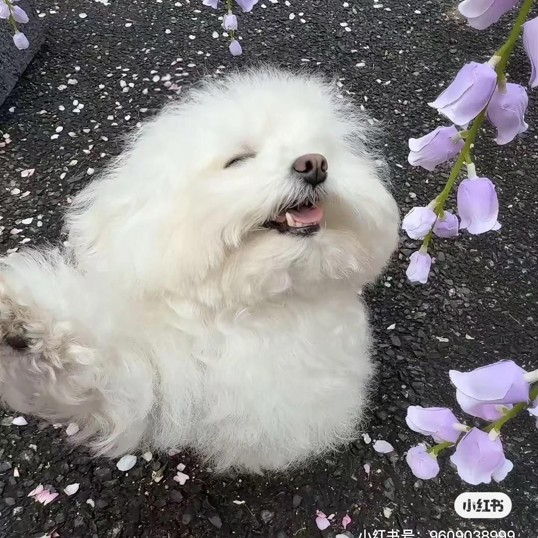 Yo八喜可乐 ✨