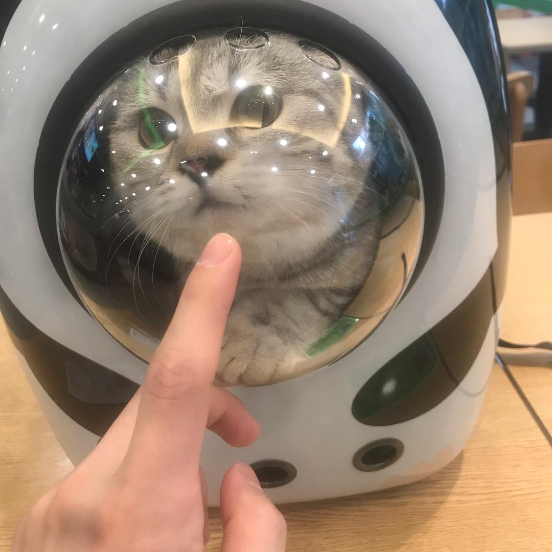 上心