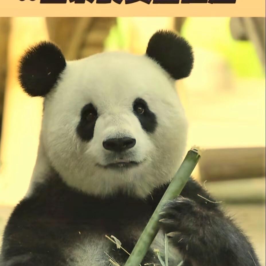 叫我龙傲天