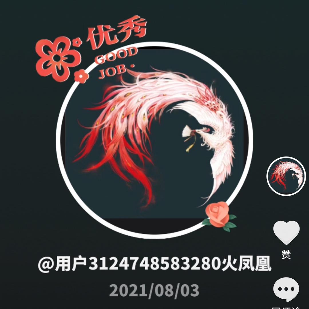 🔥凤凰