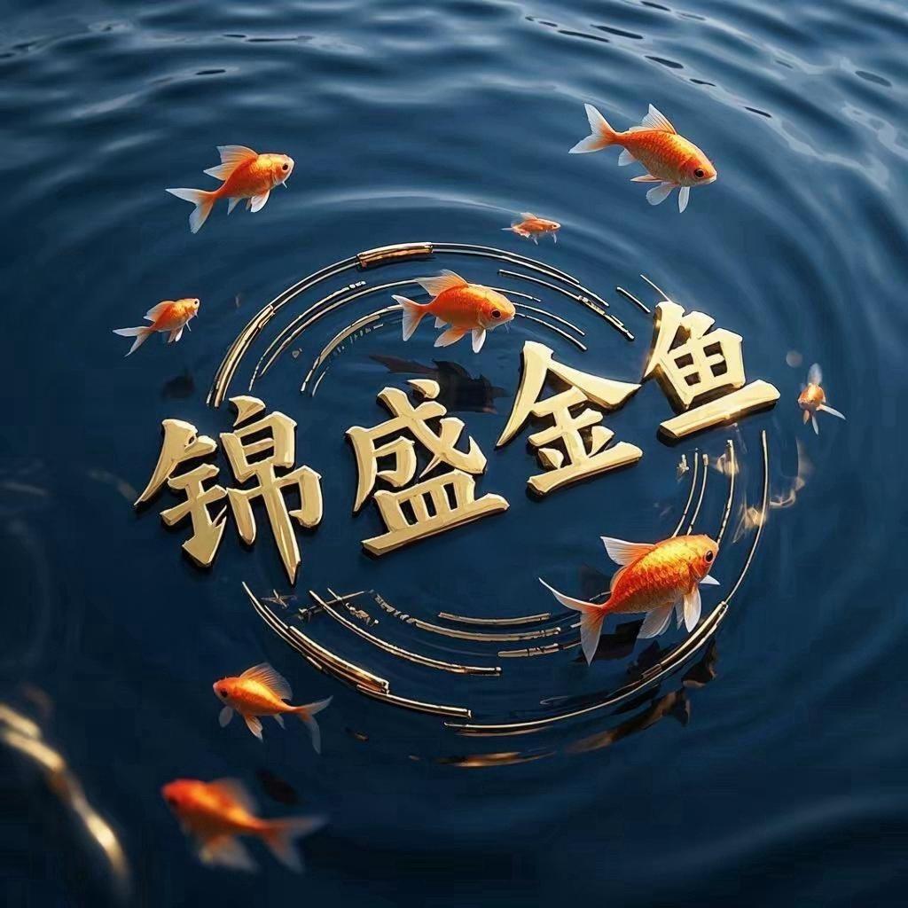 淄博锦盛金鱼