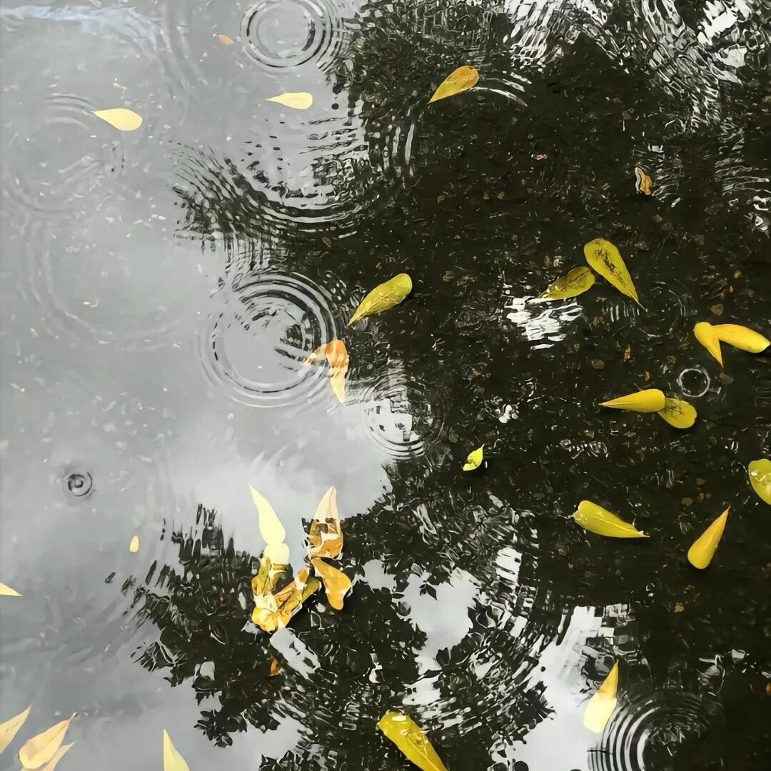 l梅梅