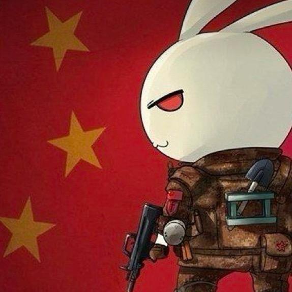 皮先生