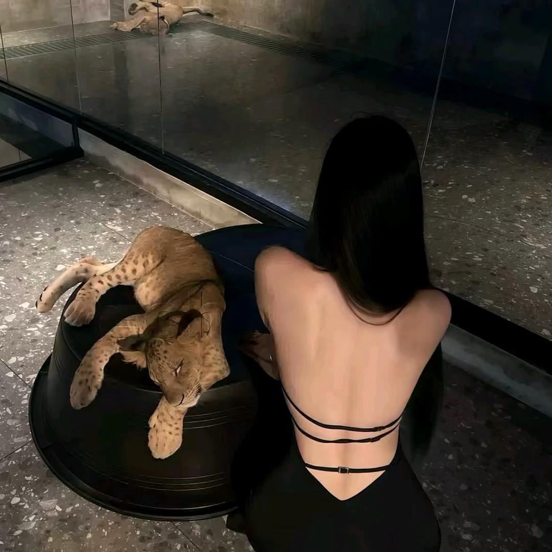道上都叫我大小姐