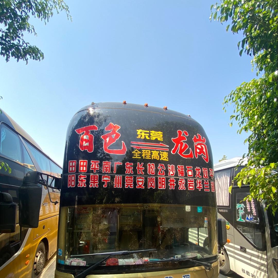 百色深圳车-小黄（韦姐车队）