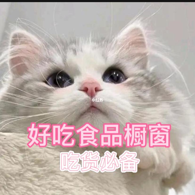 小陈橱窗好物