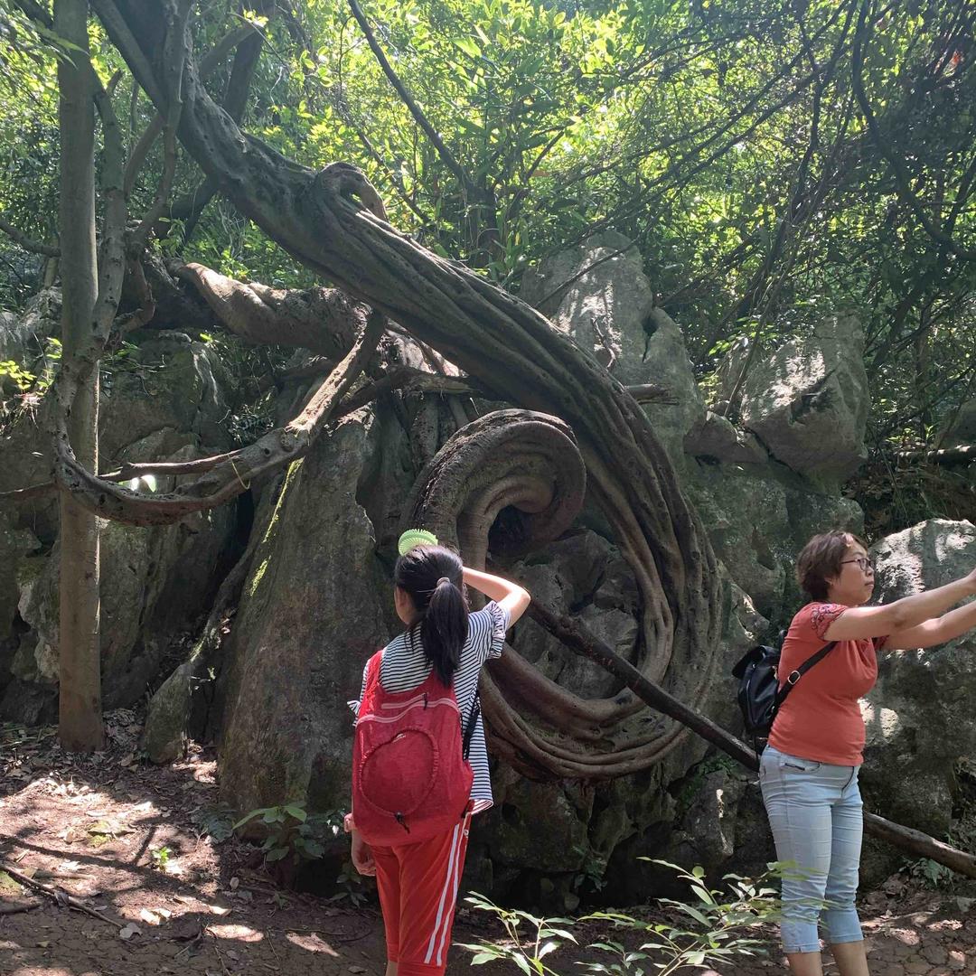 ISLAND FERRY服饰旗舰店