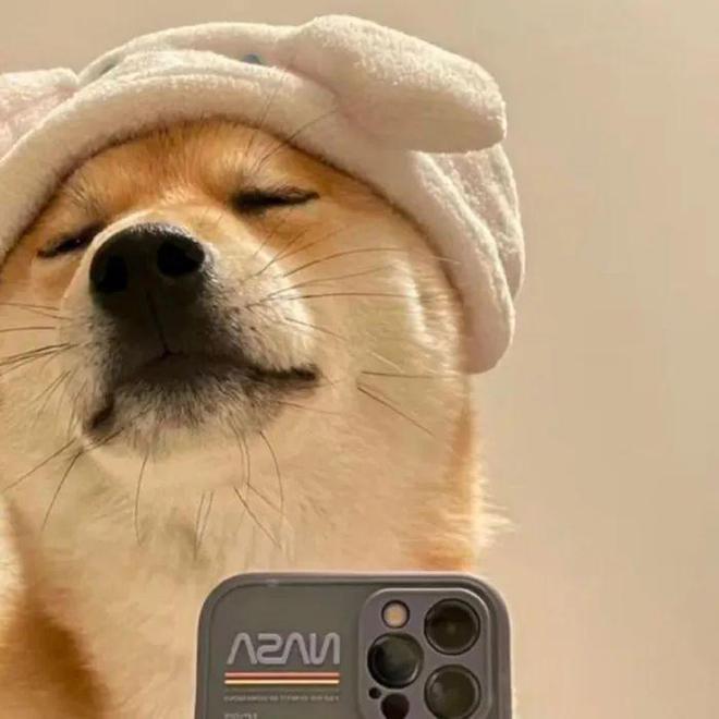 奶包迷了鹿
