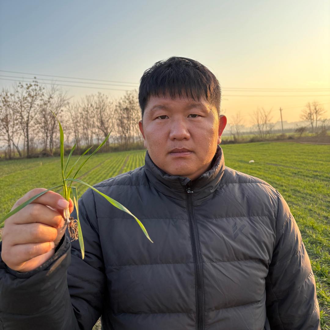 小王讲农业