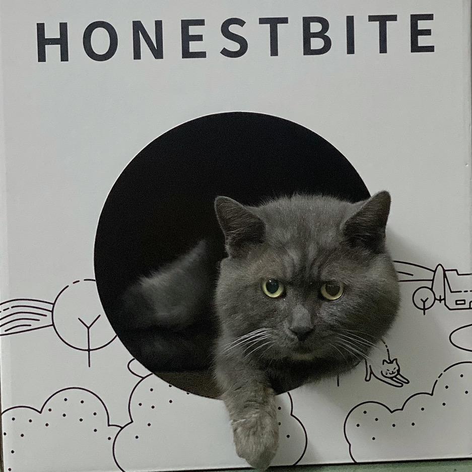 小小肥的Home🏠