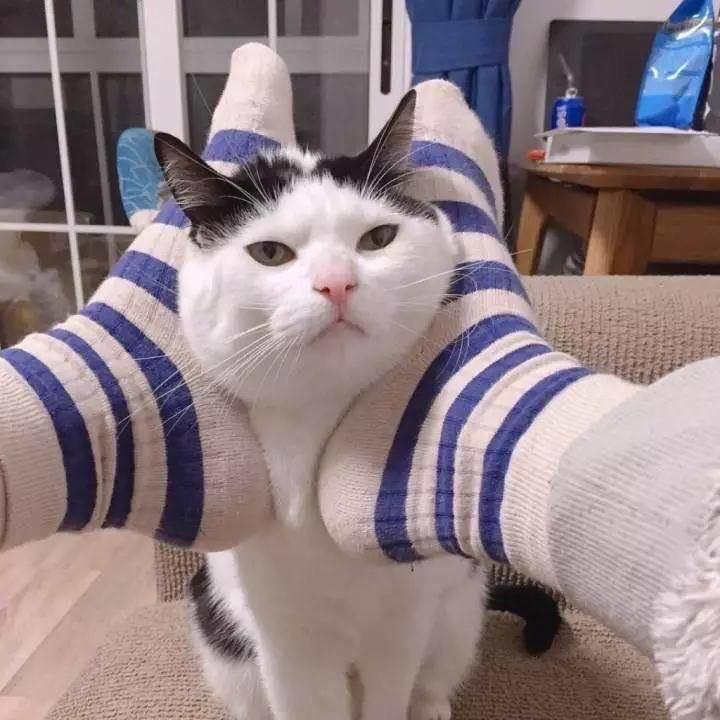 宇宙浪子