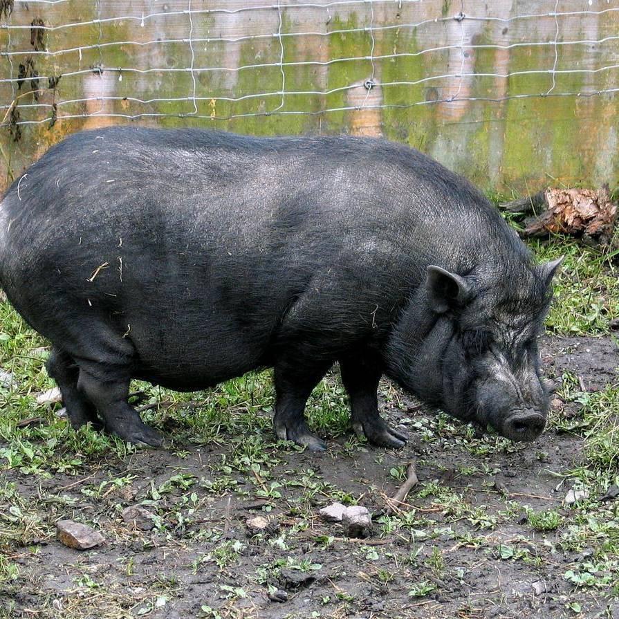 贵州精选农特产品